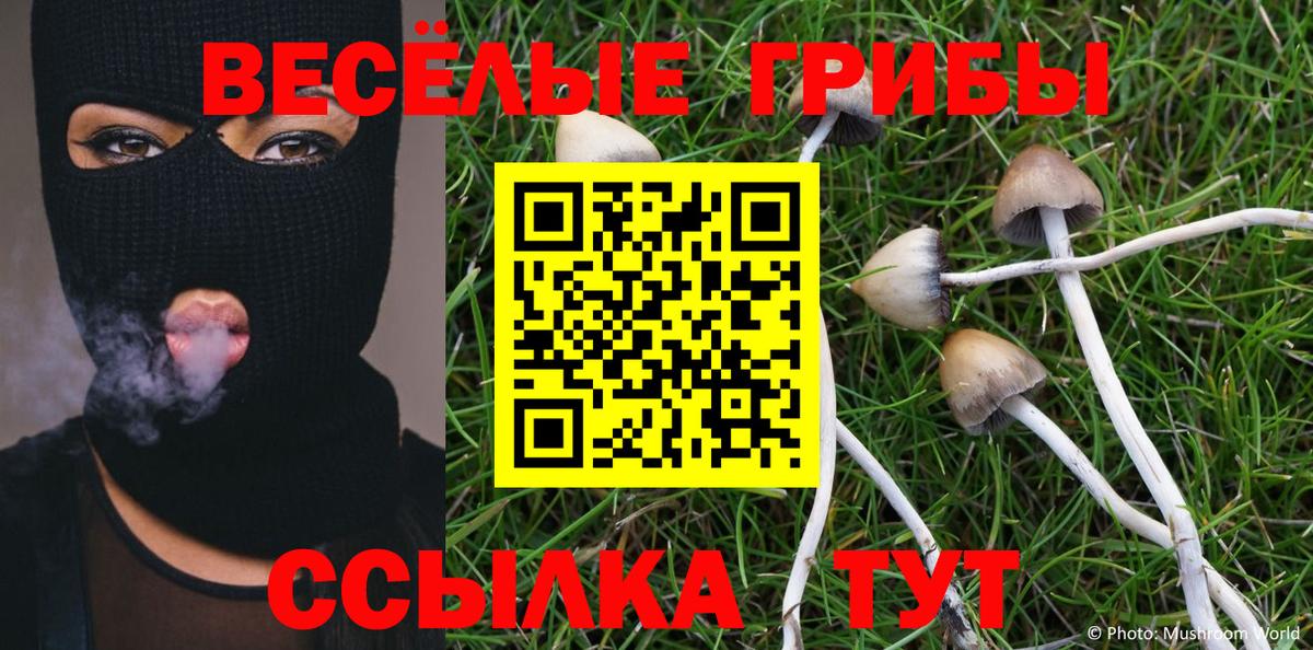 Майский  Псилоцибиновые грибы прущие грибы  Вход с VPN 