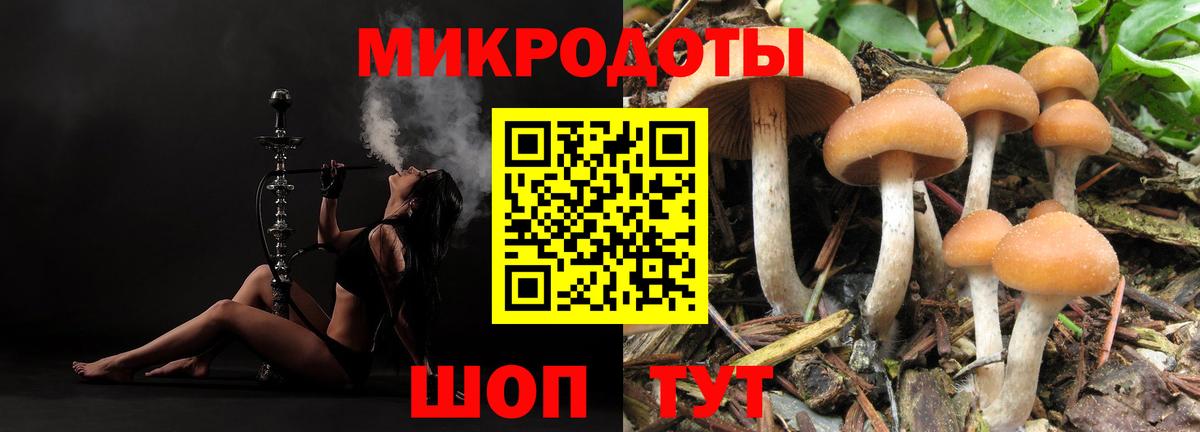 Псилоцибиновые грибы прущие грибы Майский